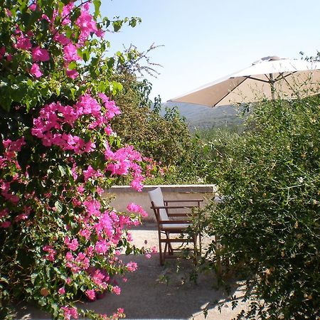 Villa Ouranos Κίσσαμος Εξωτερικό φωτογραφία